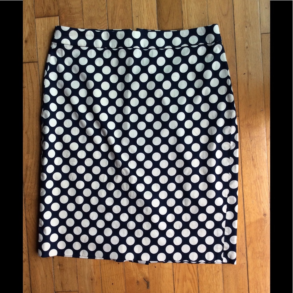 J Crew skirt